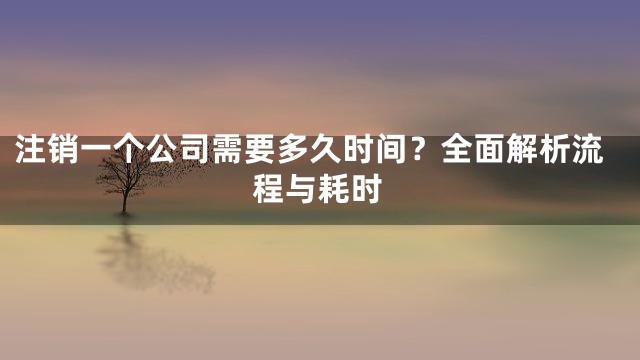 注销一个公司需要多久时间？全面解析流程与耗时