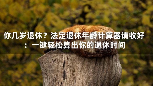 你几岁退休？法定退休年龄计算器请收好：一键轻松算出你的退休时间