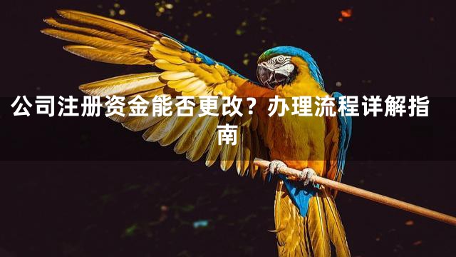 公司注册资金能否更改？办理流程详解指南