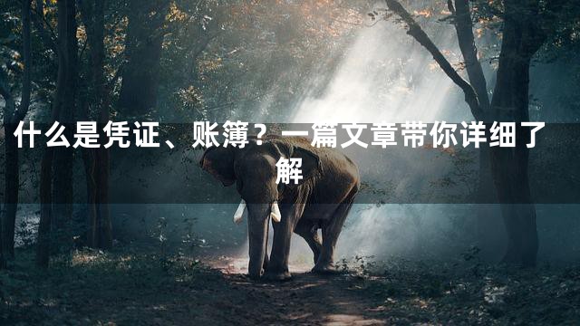 什么是凭证、账簿？一篇文章带你详细了解