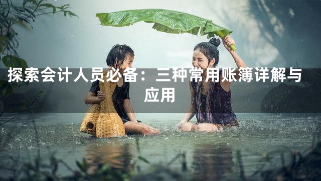 探索会计人员必备：三种常用账簿详解与应用