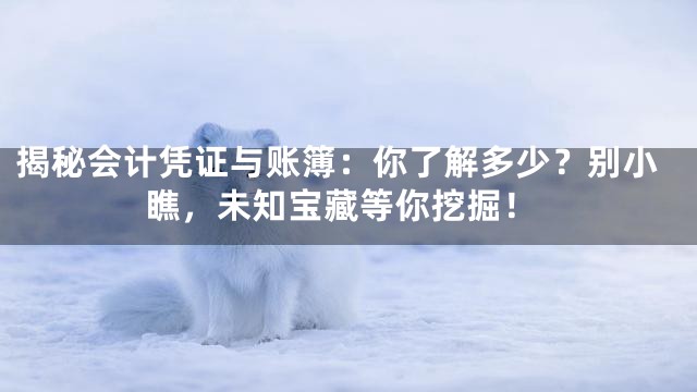 揭秘会计凭证与账簿：你了解多少？别小瞧，未知宝藏等你挖掘！