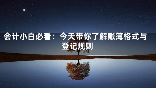 会计小白必看：今天带你了解账簿格式与登记规则