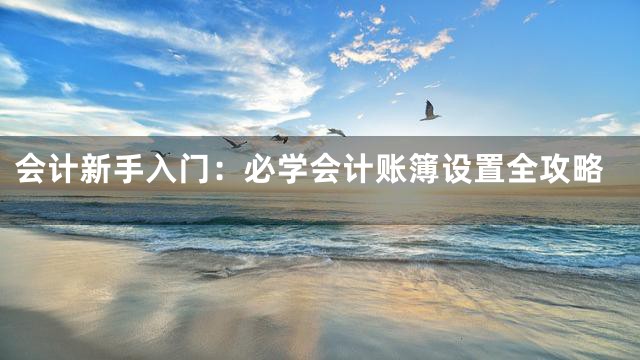 会计新手入门：必学会计账簿设置全攻略