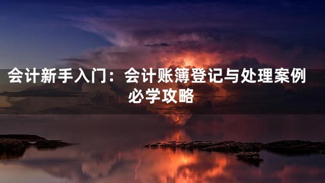 会计新手入门：会计账簿登记与处理案例必学攻略