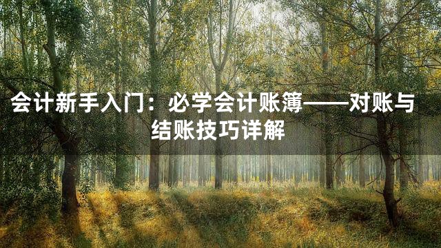会计新手入门：必学会计账簿——对账与结账技巧详解