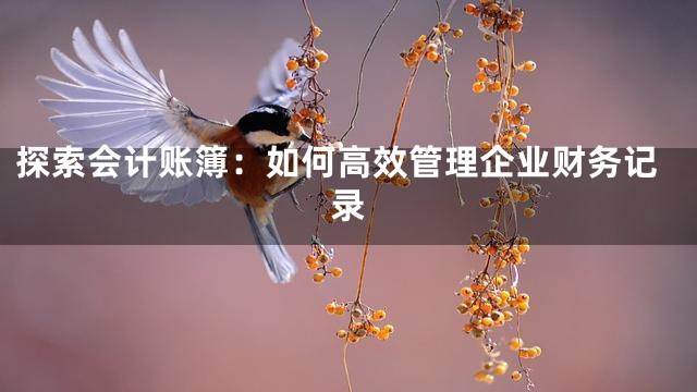 探索会计账簿：如何高效管理企业财务记录