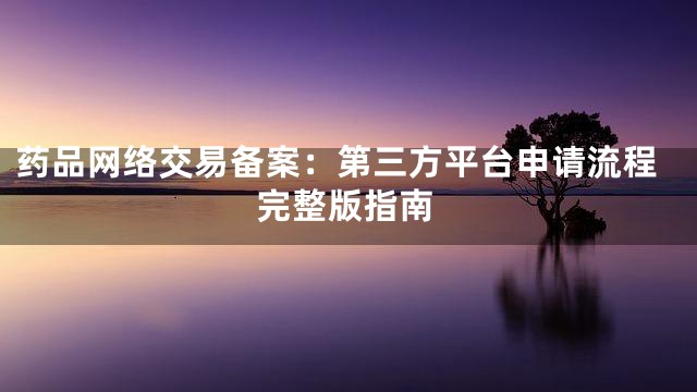 药品网络交易备案：第三方平台申请流程完整版指南