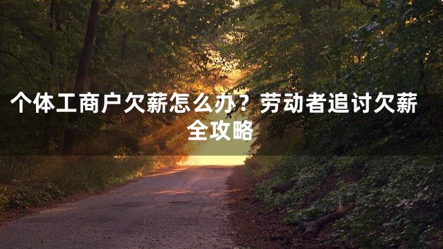 个体工商户欠薪怎么办？劳动者追讨欠薪全攻略