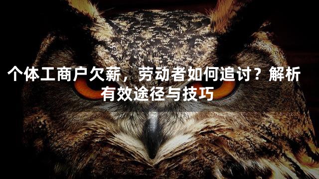 个体工商户欠薪，劳动者如何追讨？解析有效途径与技巧