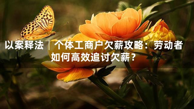 以案释法│个体工商户欠薪攻略：劳动者如何高效追讨欠薪？