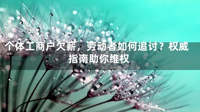 个体工商户欠薪，劳动者如何追讨？权威指南助你维权