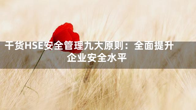 干货HSE安全管理九大原则：全面提升企业安全水平