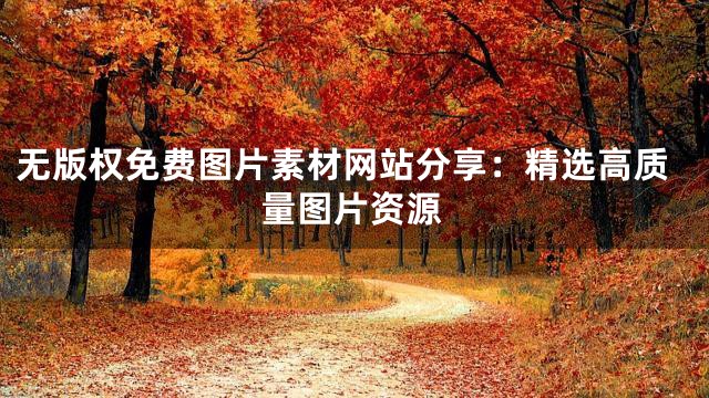 无版权免费图片素材网站分享：精选高质量图片资源
