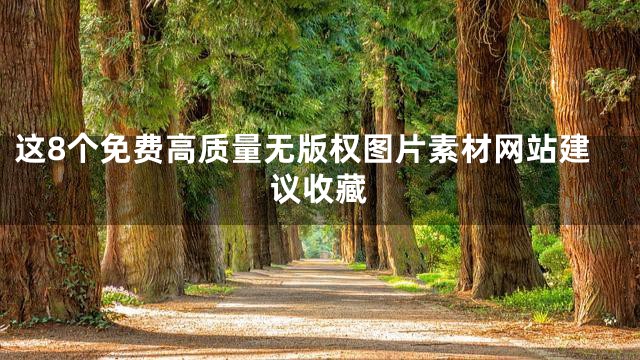 这8个免费高质量无版权图片素材网站建议收藏
