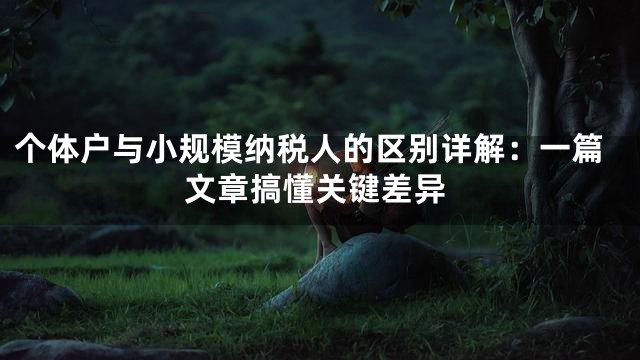 个体户与小规模纳税人的区别详解：一篇文章搞懂关键差异