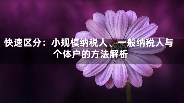 快速区分：小规模纳税人、一般纳税人与个体户的方法解析