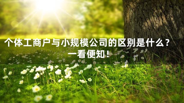 个体工商户与小规模公司的区别是什么？一看便知！