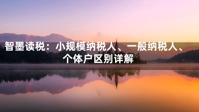 智墨读税：小规模纳税人、一般纳税人、个体户区别详解