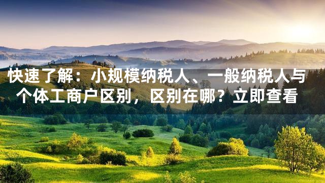 快速了解：小规模纳税人、一般纳税人与个体工商户区别，区别在哪？立即查看
