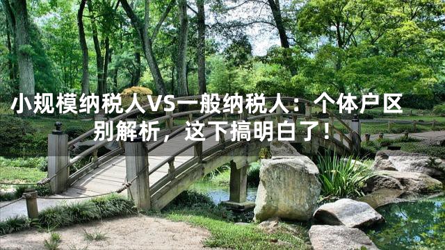 小规模纳税人VS一般纳税人：个体户区别解析，这下搞明白了！