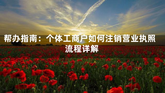 帮办指南：个体工商户如何注销营业执照流程详解
