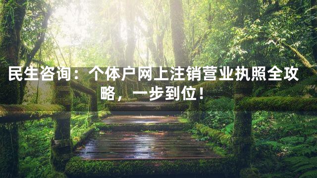 民生咨询：个体户网上注销营业执照全攻略，一步到位！