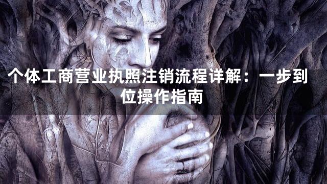 个体工商营业执照注销流程详解：一步到位操作指南