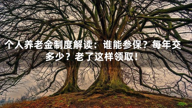 个人养老金制度解读：谁能参保？每年交多少？老了这样领取！