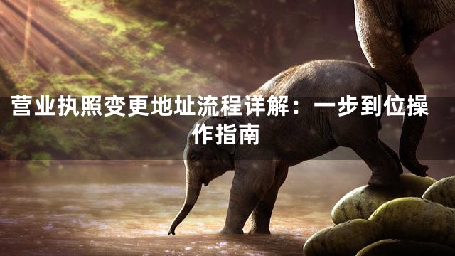 营业执照变更地址流程详解：一步到位操作指南