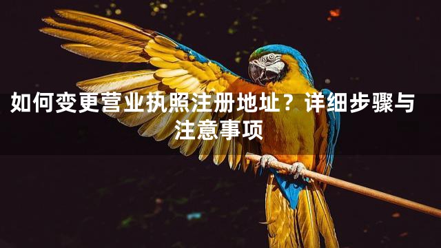 如何变更营业执照注册地址？详细步骤与注意事项