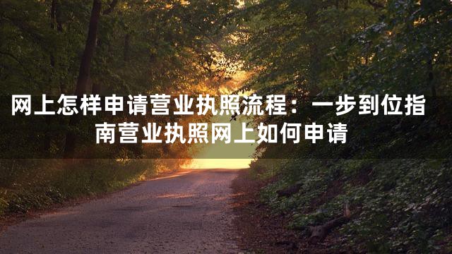 网上怎样申请营业执照流程：一步到位指南营业执照网上如何申请