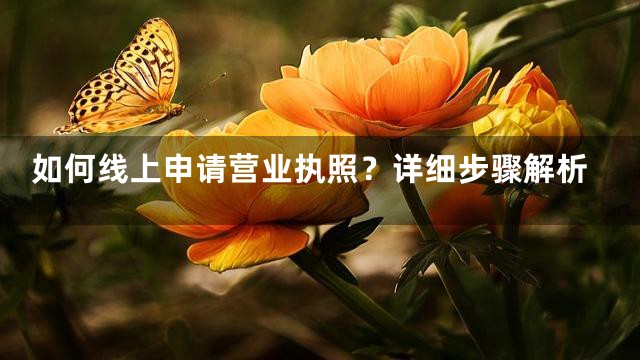 如何线上申请营业执照？详细步骤解析