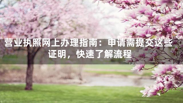 营业执照网上办理指南：申请需提交这些证明，快速了解流程