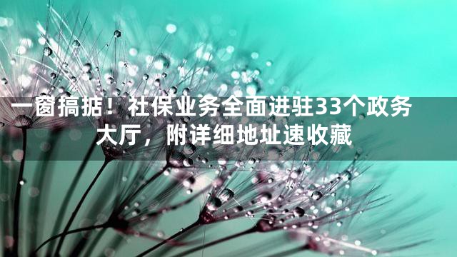 一窗搞掂！社保业务全面进驻33个政务大厅，附详细地址速收藏