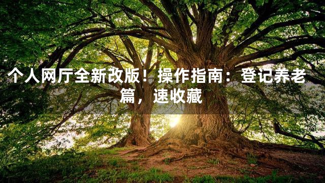 个人网厅全新改版！操作指南：登记养老篇，速收藏