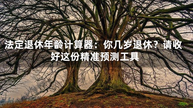法定退休年龄计算器：你几岁退休？请收好这份精准预测工具