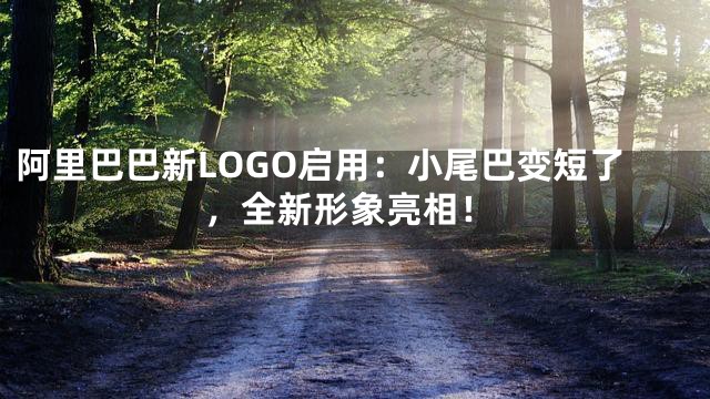 阿里巴巴新LOGO启用：小尾巴变短了，全新形象亮相！