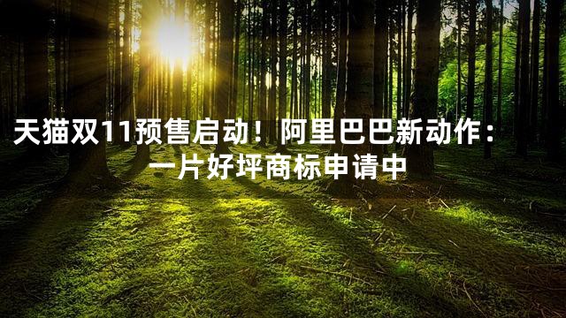 天猫双11预售启动！阿里巴巴新动作：一片好坪商标申请中