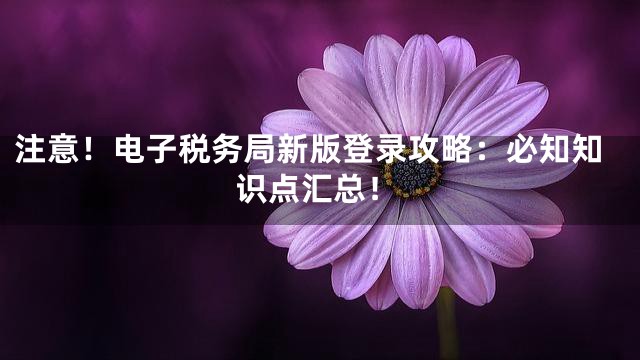 注意！电子税务局新版登录攻略：必知知识点汇总！