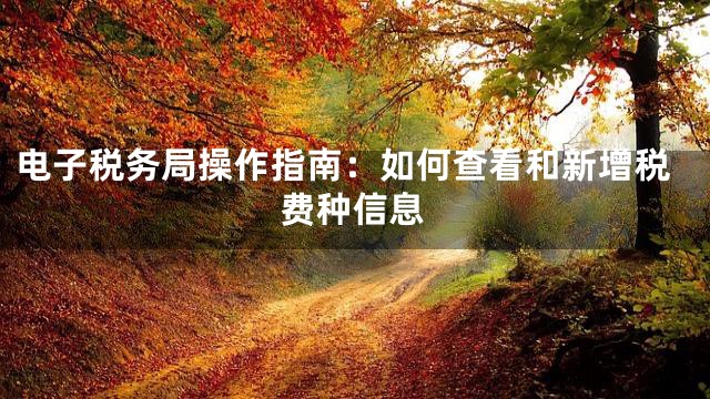 电子税务局操作指南：如何查看和新增税费种信息