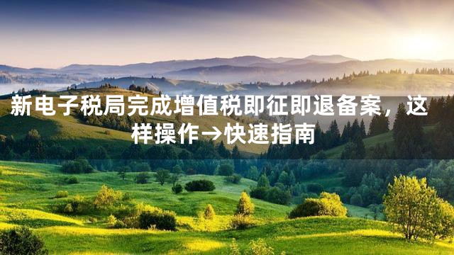 新电子税局完成增值税即征即退备案，这样操作→快速指南