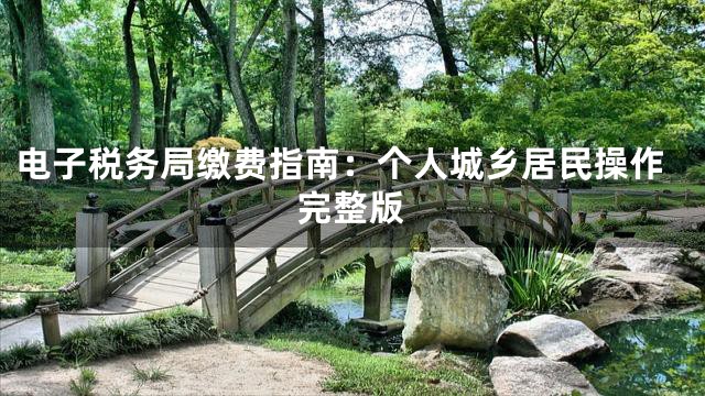 电子税务局缴费指南：个人城乡居民操作完整版