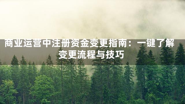 商业运营中注册资金变更指南：一键了解变更流程与技巧