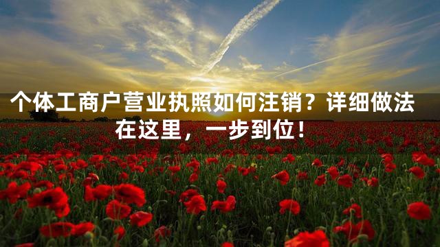 个体工商户营业执照如何注销？详细做法在这里，一步到位！