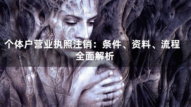 个体户营业执照注销：条件、资料、流程全面解析