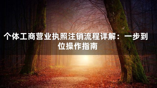 个体工商营业执照注销流程详解：一步到位操作指南