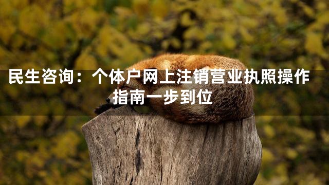 民生咨询：个体户网上注销营业执照操作指南一步到位