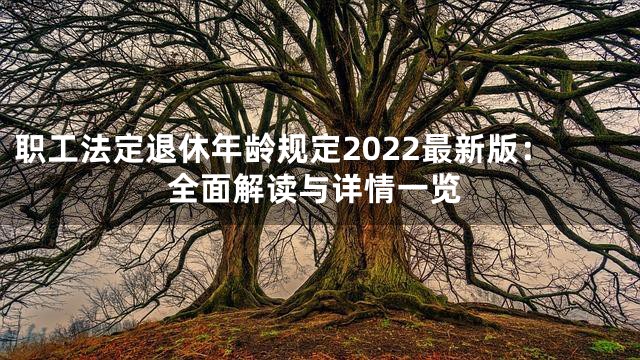 职工法定退休年龄规定2022最新版：全面解读与详情一览