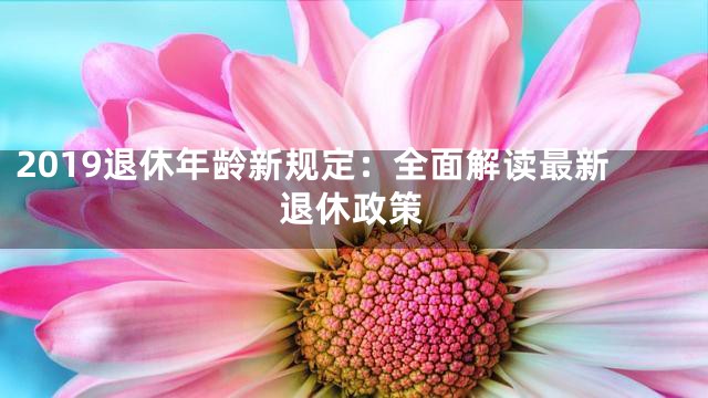 2019退休年龄新规定：全面解读最新退休政策